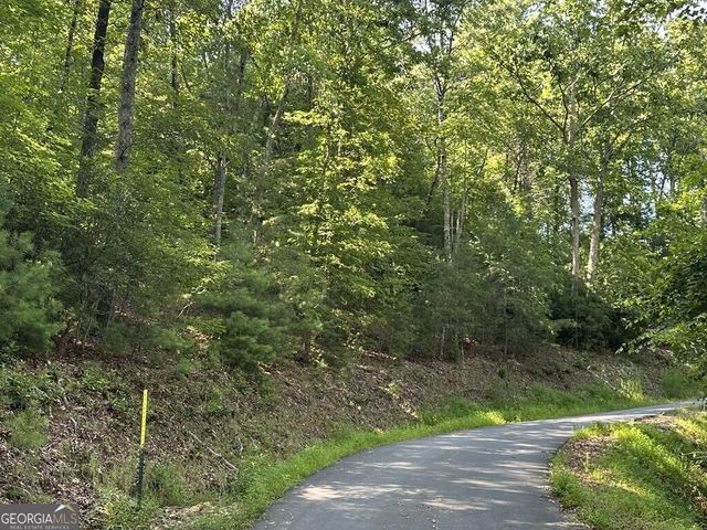 0 Stonefly Cove, Hayesville, NC 28904