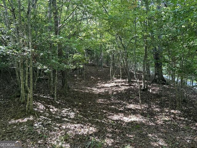 0 Stonefly Cove, Hayesville, NC 28904