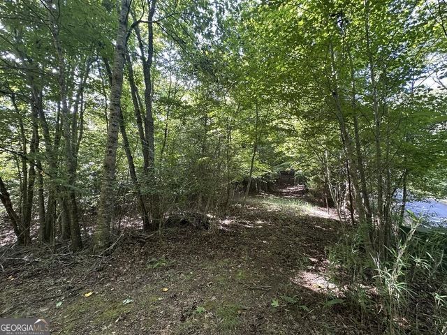 0 Stonefly Cove, Hayesville, NC 28904