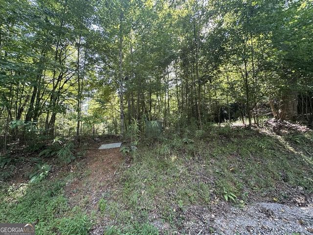 0 Stonefly Cove, Hayesville, NC 28904