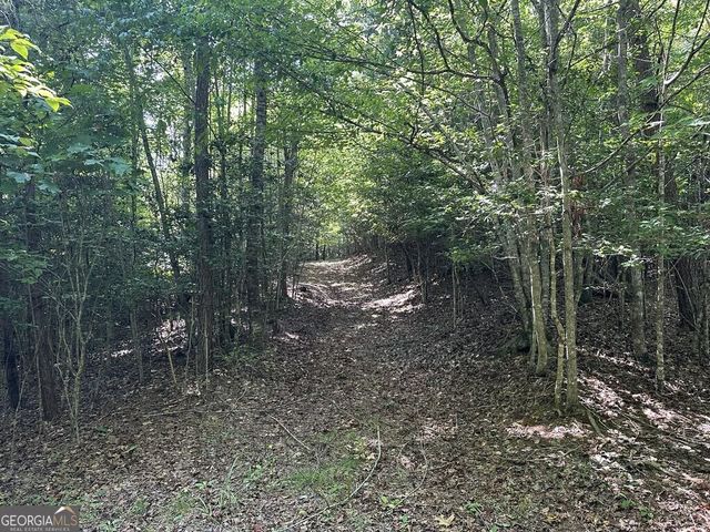 0 Stonefly Cove, Hayesville, NC 28904