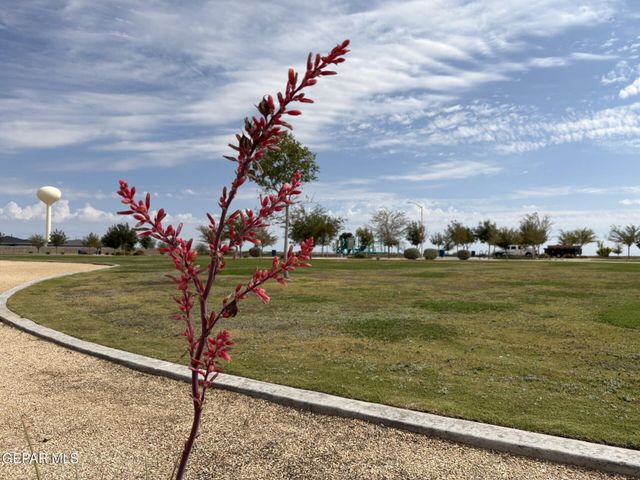 14576 Faxon Yucca Avenue, Horizon City, TX 79928