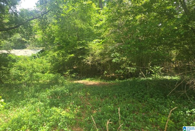7262 DOLLAR ROAD, Trussville, AL 35173