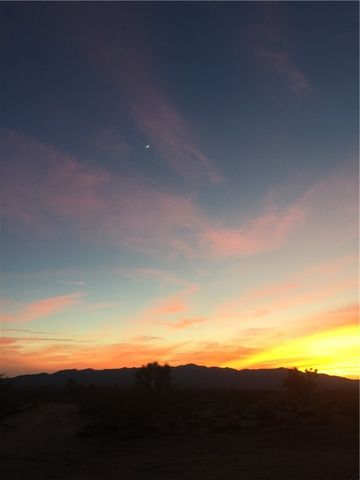 18013 Cholla Chuck Drive, Wikieup, AZ 85360