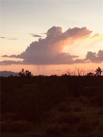 18013 Cholla Chuck Drive, Wikieup, AZ 85360