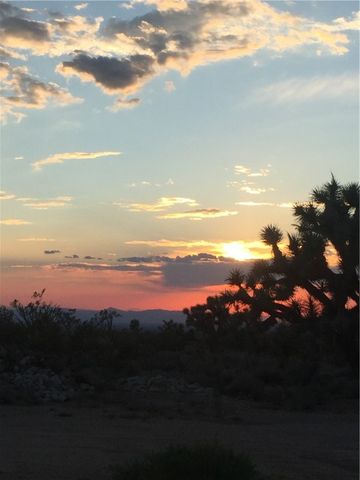 18013 Cholla Chuck Drive, Wikieup, AZ 85360