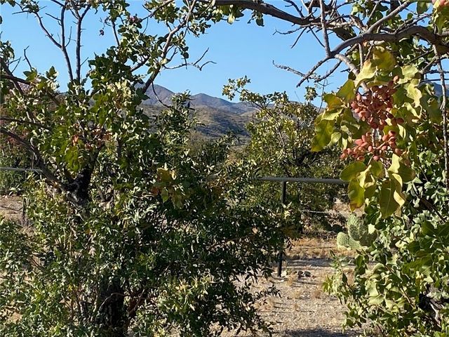 18013 Cholla Chuck Drive, Wikieup, AZ 85360