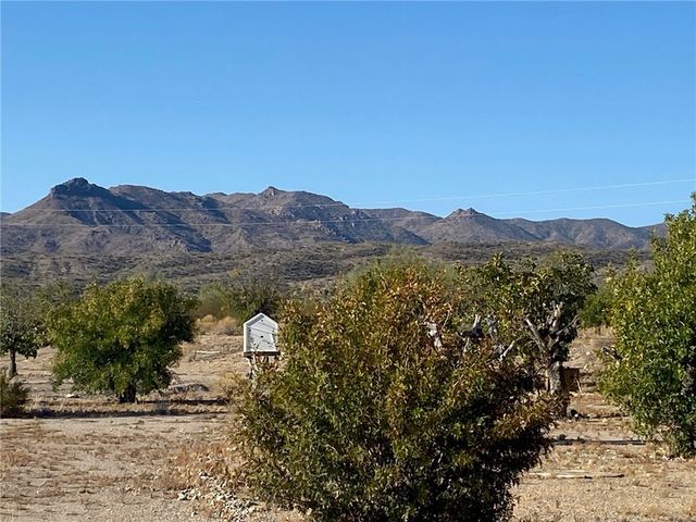 18013 Cholla Chuck Drive, Wikieup, AZ 85360