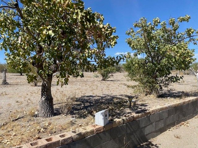 18013 Cholla Chuck Drive, Wikieup, AZ 85360