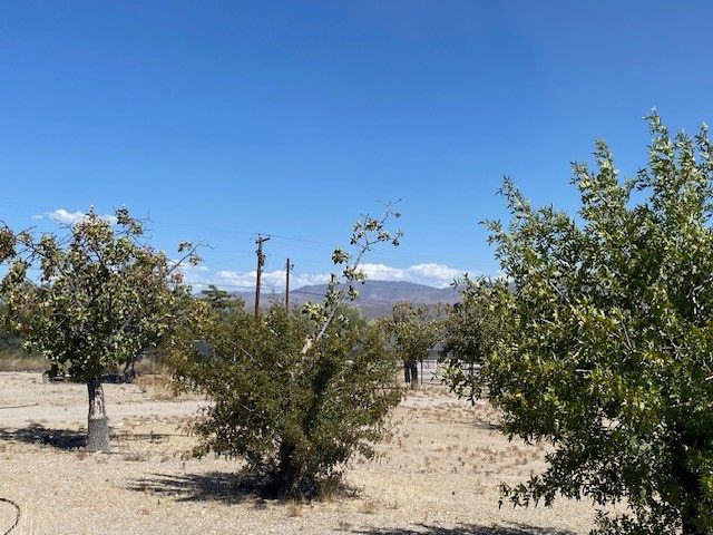 18013 Cholla Chuck Drive, Wikieup, AZ 85360