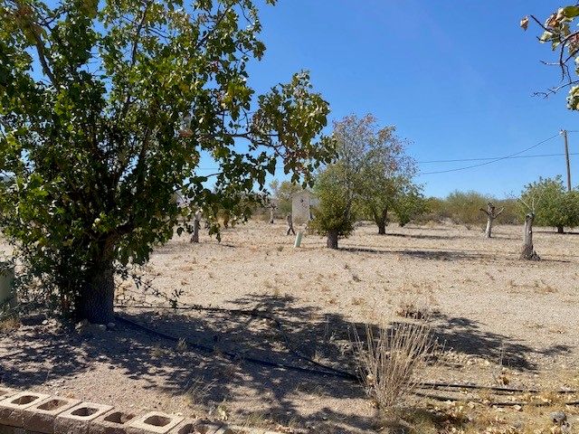 18013 Cholla Chuck Drive, Wikieup, AZ 85360