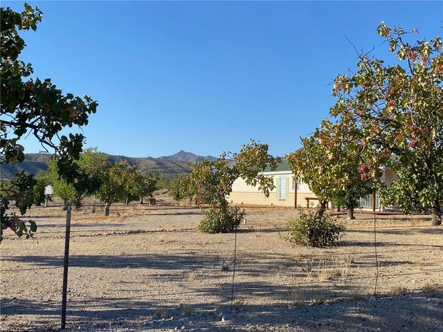 18013 Cholla Chuck Drive, Wikieup, AZ 85360