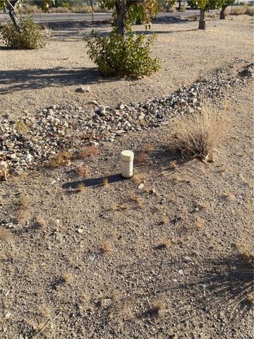 18013 Cholla Chuck Drive, Wikieup, AZ 85360