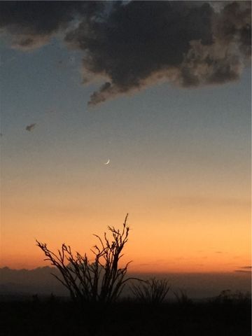 18013 Cholla Chuck Drive, Wikieup, AZ 85360