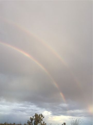 18013 Cholla Chuck Drive, Wikieup, AZ 85360