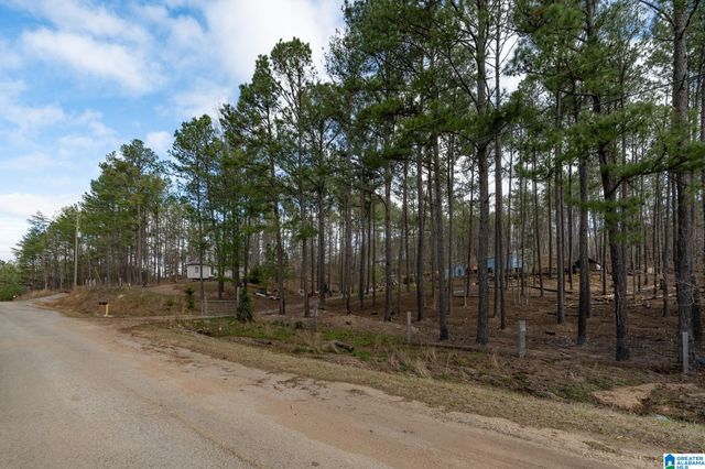 3800 COUNTY ROAD 61, Clanton, AL 35046