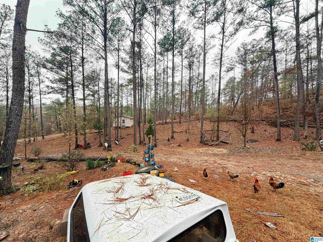 3800 COUNTY ROAD 61, Clanton, AL 35046