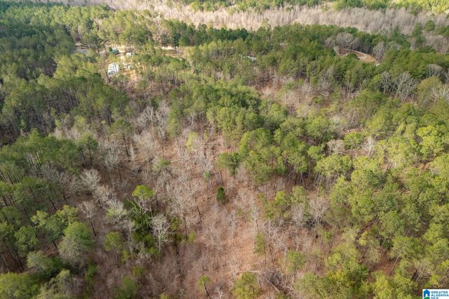 3800 COUNTY ROAD 61, Clanton, AL 35046