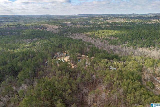 3800 COUNTY ROAD 61, Clanton, AL 35046