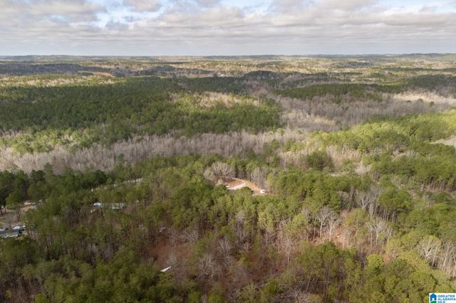 3800 COUNTY ROAD 61, Clanton, AL 35046