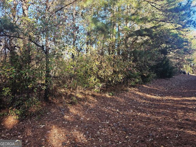 2199 Rehoboth Road, Griffin, GA 30223