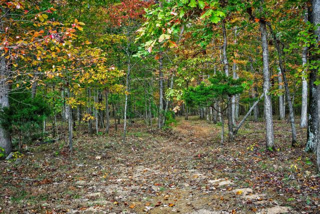 900 Brotherton Dr, Cookeville, TN 38506