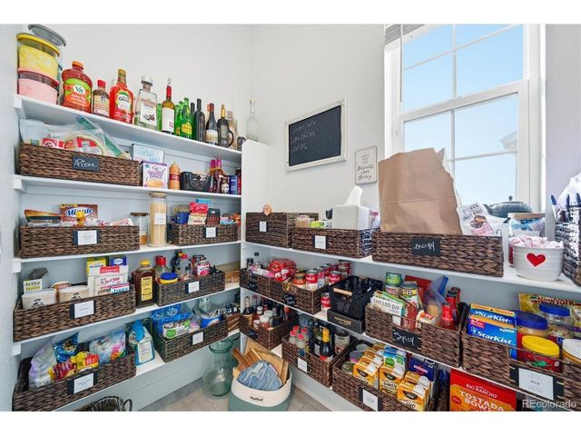 3069 Carabiner St, Castle Rock, CO 80108