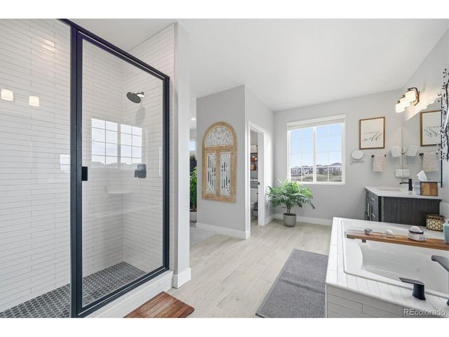 3069 Carabiner St, Castle Rock, CO 80108