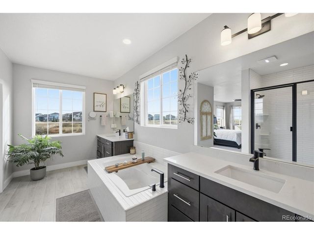 3069 Carabiner St, Castle Rock, CO 80108