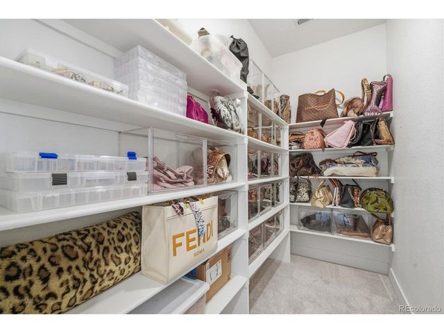 3069 Carabiner St, Castle Rock, CO 80108