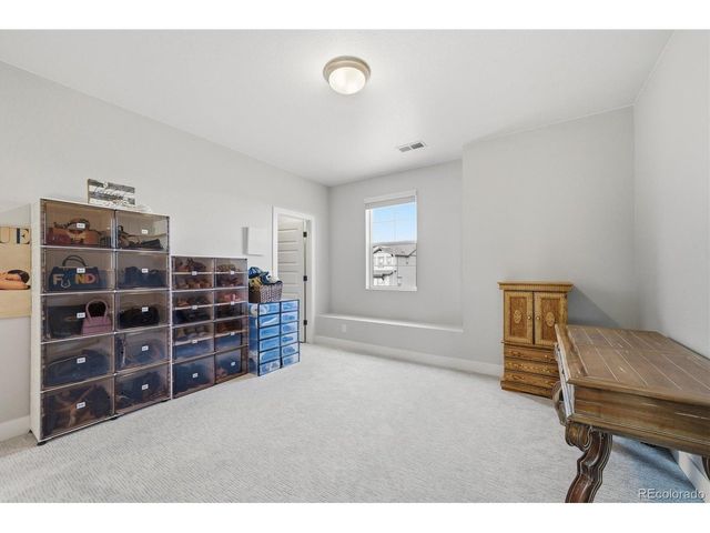 3069 Carabiner St, Castle Rock, CO 80108