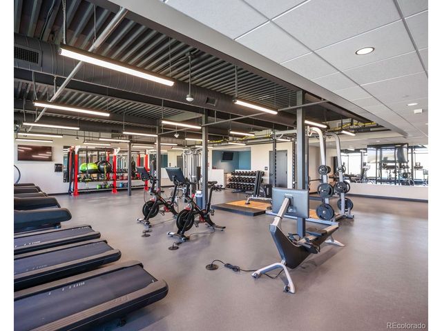 3069 Carabiner St, Castle Rock, CO 80108