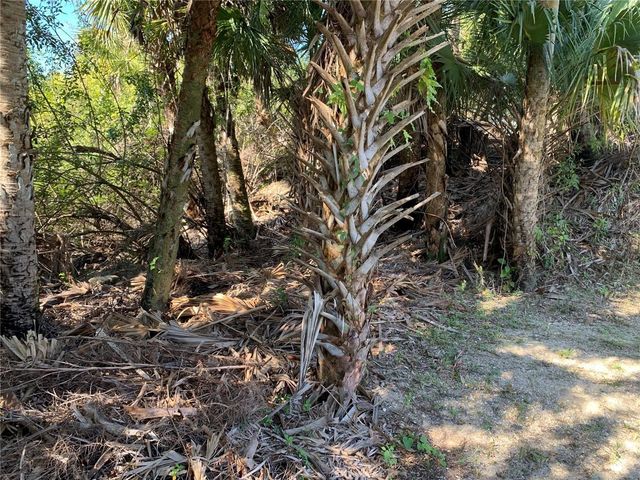 1375 CLEARVIEW DRIVE, Port Charlotte, FL 33953