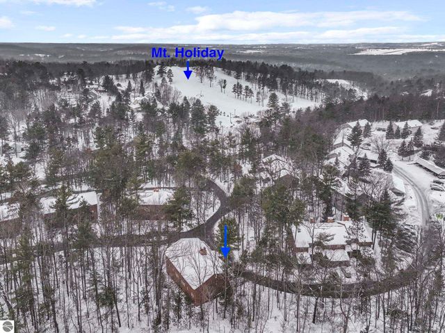 3906 Sherwood Forest Drive # 19, Traverse City, MI 49686