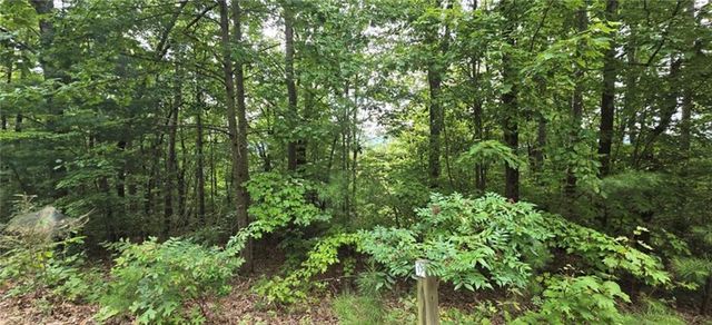 Lot 17 Abbott Mill Road, Ellijay, GA 30540