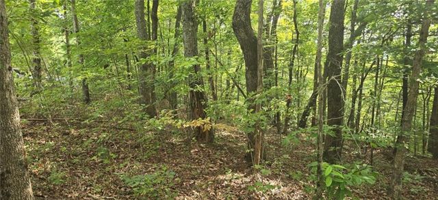 Lot 17 Abbott Mill Road, Ellijay, GA 30540