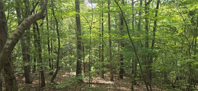 Lot 17 Abbott Mill Road, Ellijay, GA 30540