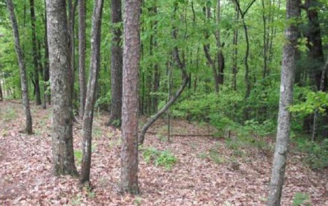 Lot 17 Abbott Mill Road, Ellijay, GA 30540