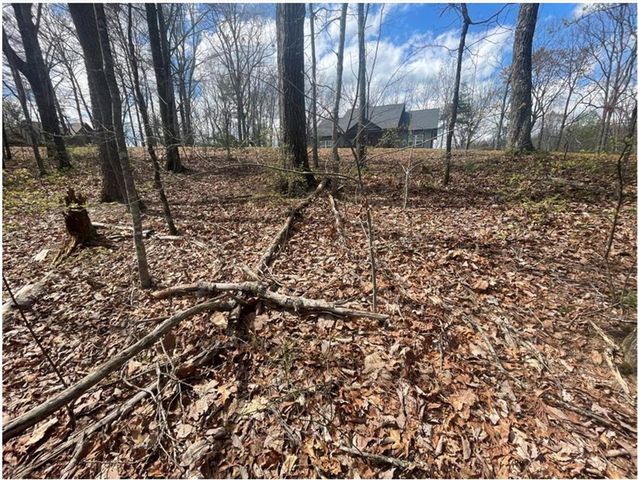 Lot 17 Abbott Mill Road, Ellijay, GA 30540