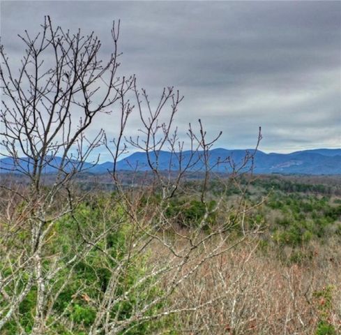 Lot 17 Abbott Mill Road, Ellijay, GA 30540