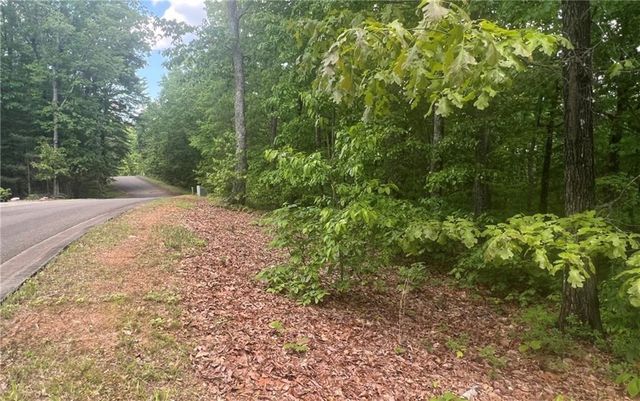 Lot 17 Abbott Mill Road, Ellijay, GA 30540