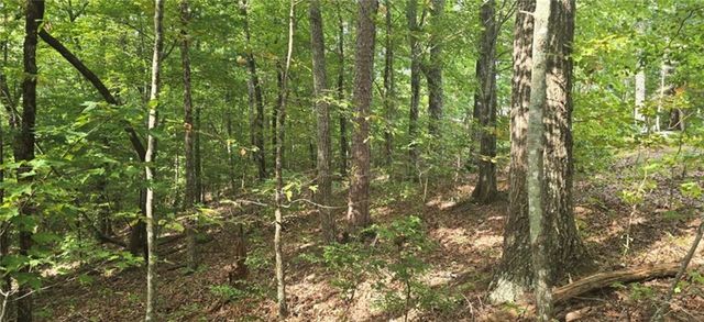 Lot 17 Abbott Mill Road, Ellijay, GA 30540