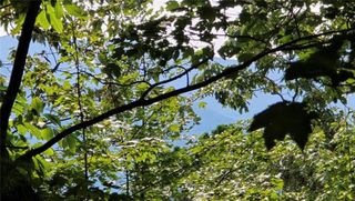 Lot 17 Abbott Mill Road, Ellijay, GA 30540