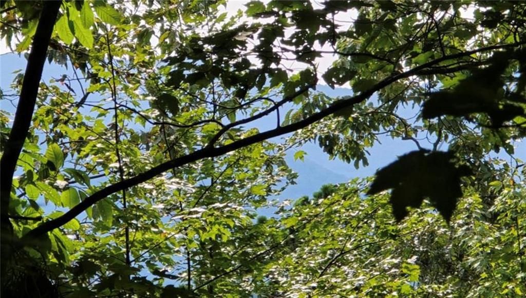 Lot 17 Abbott Mill Road, Ellijay, GA 30540