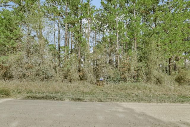Lot 720 Sand Dollar Drive, Livingston, TX 77351