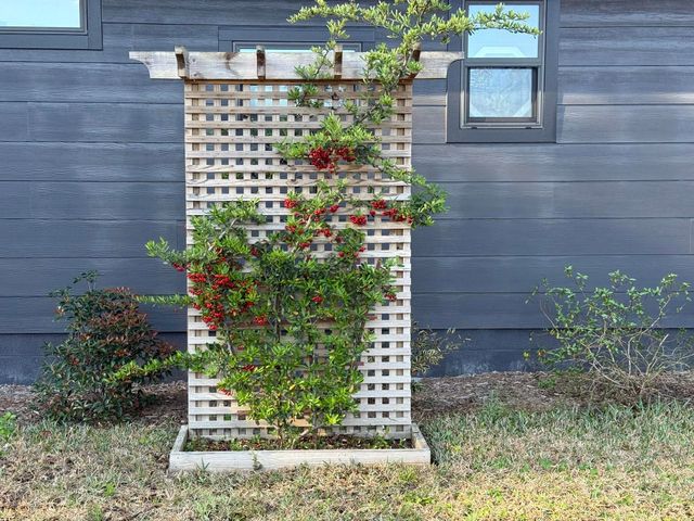 146 Maple Tree Ln, Elkton, FL 32033