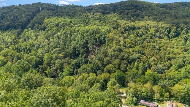 1010 Hibbetts Mill Road, Wellsville, OH 43968