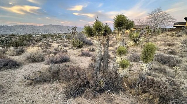 55370 Bunny, Yucca Valley, CA 92284