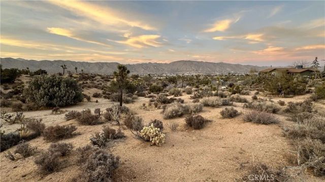 55370 Bunny, Yucca Valley, CA 92284