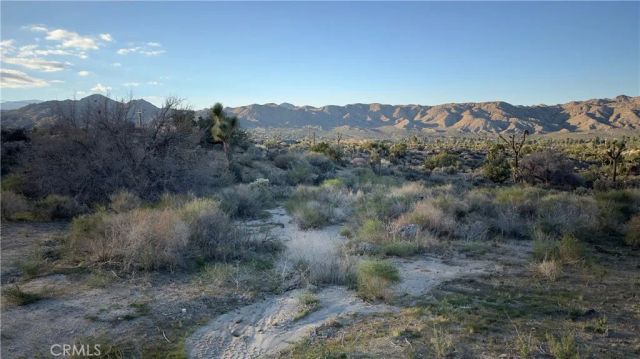 55370 Bunny, Yucca Valley, CA 92284